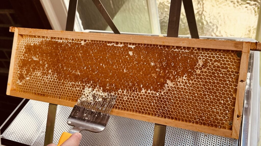 Frische Honigwabe aus Hochdahl