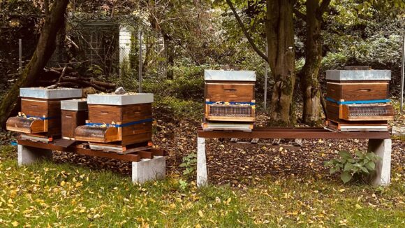 BeeFlat in Hochdahl im Frühherbst