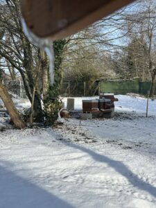 Blick auf BeeFlat im Winter