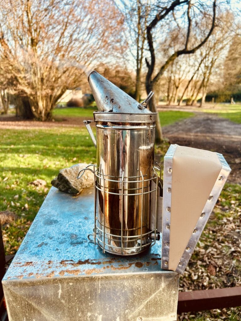 Start ins Bienenjahr 2026