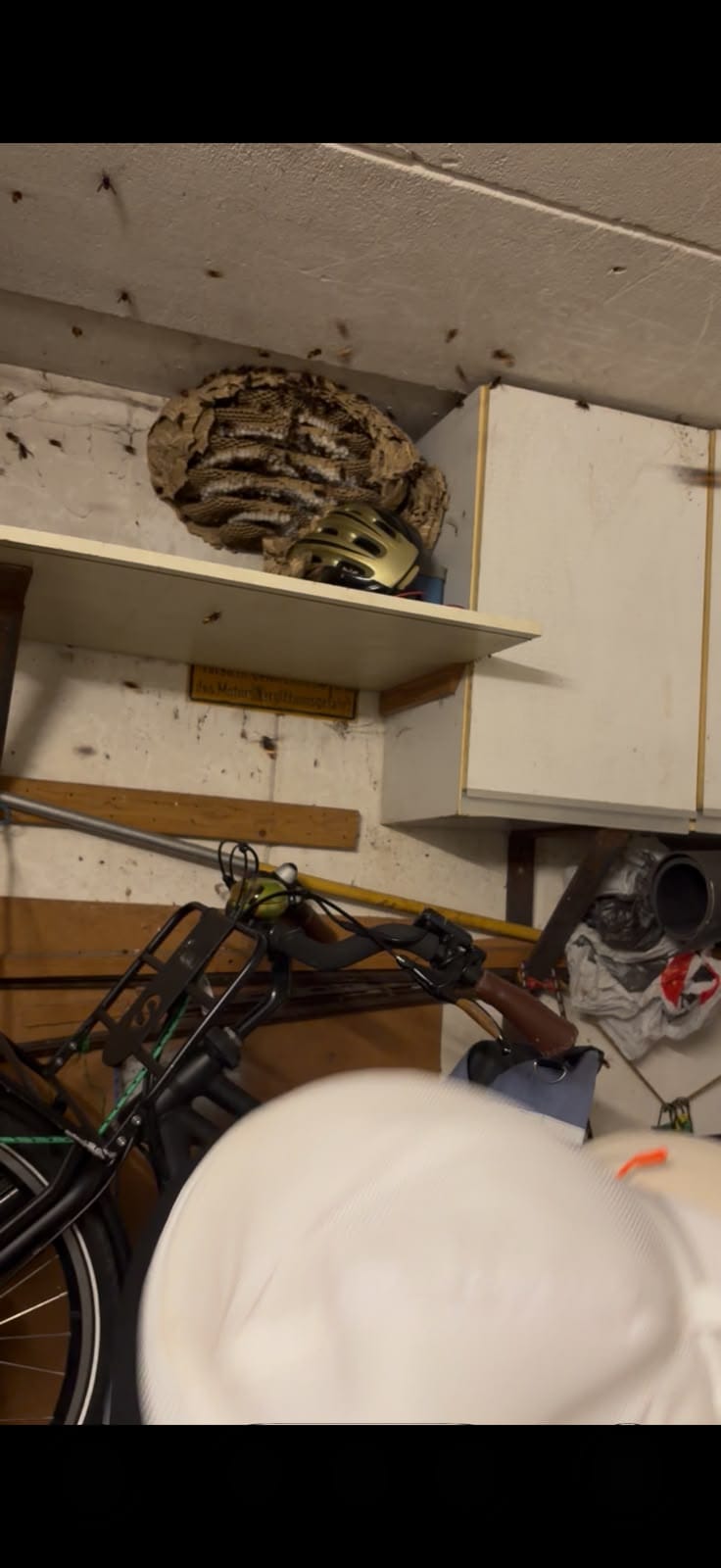 Bienenstock im Hobbyraum bei Honeymaker Hochdahl.